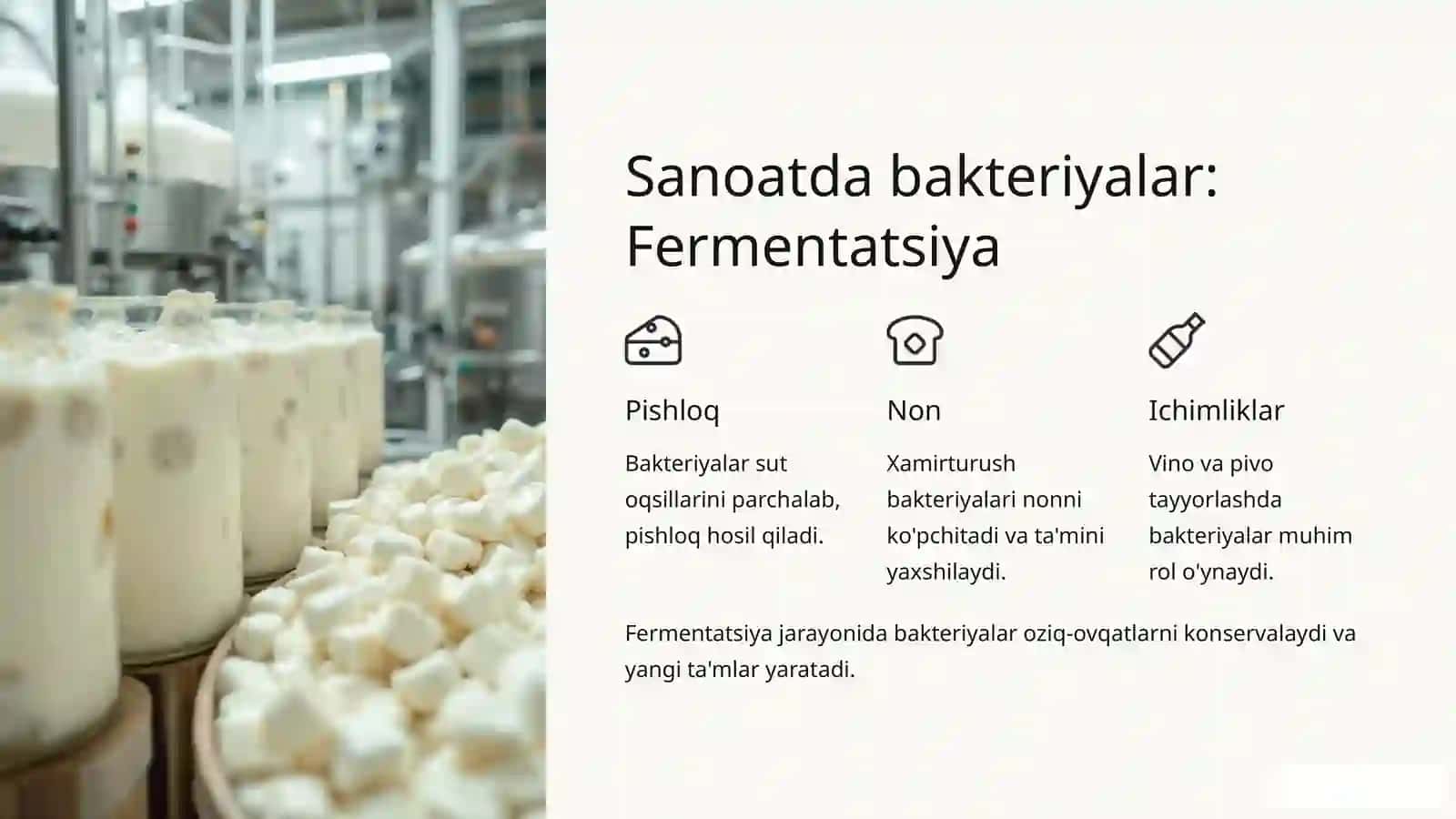 Bakteriyalarning sanoat va qishloq xo'jaligidag ahamiyati 2