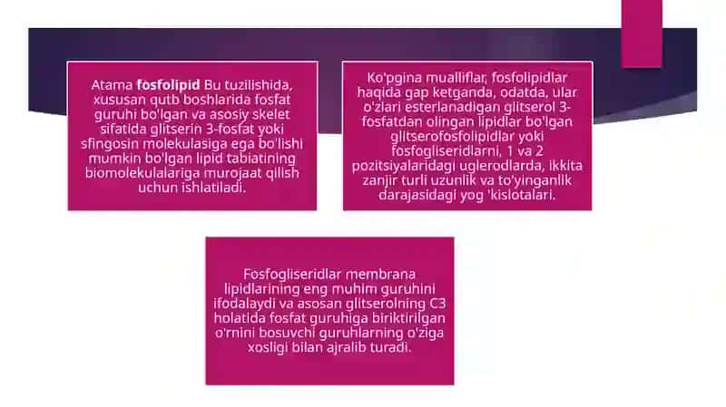 Fosfolipidlar, xususiyatlari, tuzilishi, funktsiyalari, turlari 2