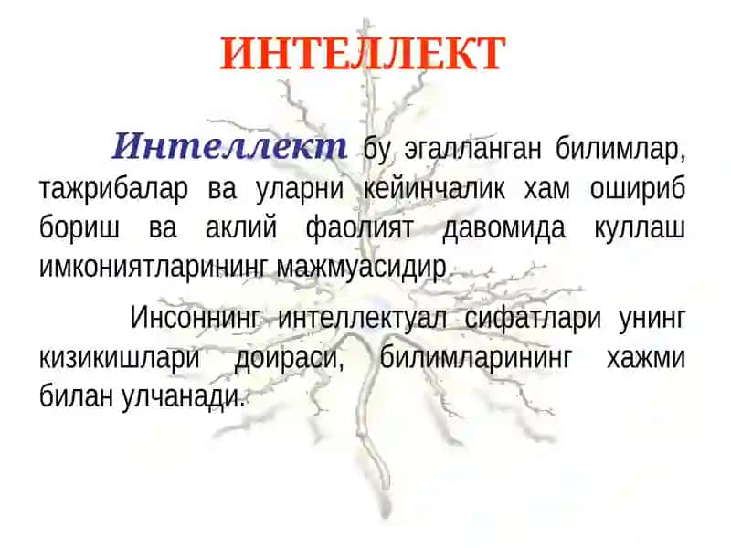 Интеллект патологияси ва синдромлари. Олигофрения 2