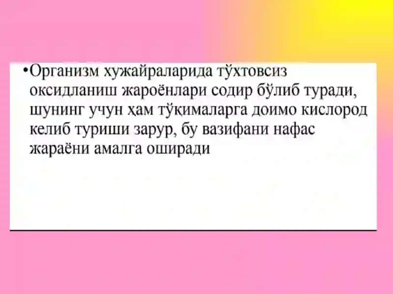 Ташқи нафас. Газларнинг қон билан ташилиши. Нафаснинг бошқарилиши. 2