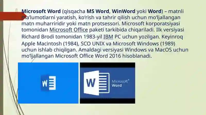 Microsoft Word 2