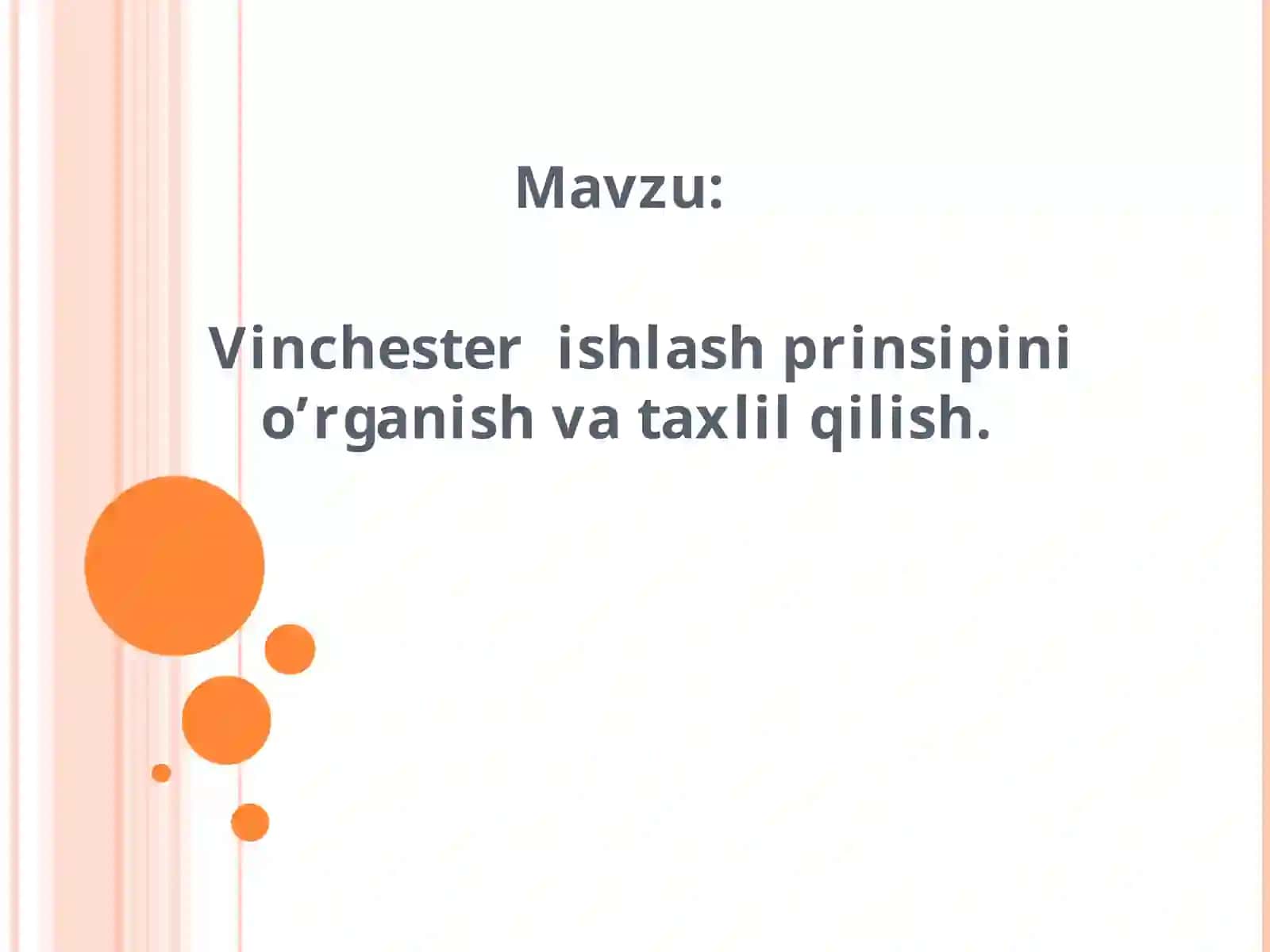 Vinchester ishlash prinsipini o’rganish va taxlil qilish 2