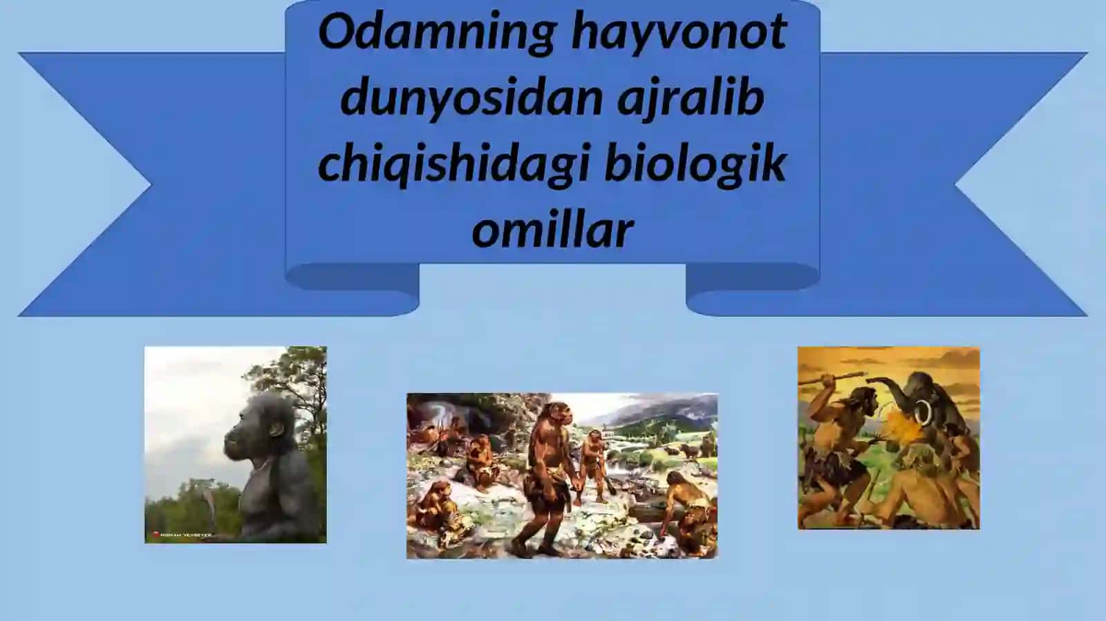 Odamning hayvonot dunyosidan ajralib chiqishidagi biologik omillar 2