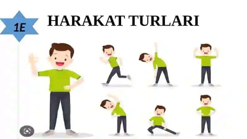 HARAKAT TURLARI 2