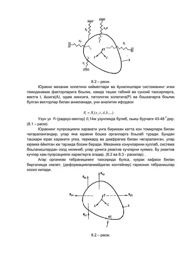 Юрак биомеханикаси 2