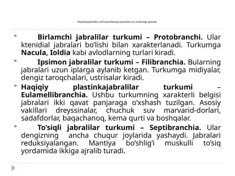 Ikki pallalilar (Bivalvia) sinfi 2