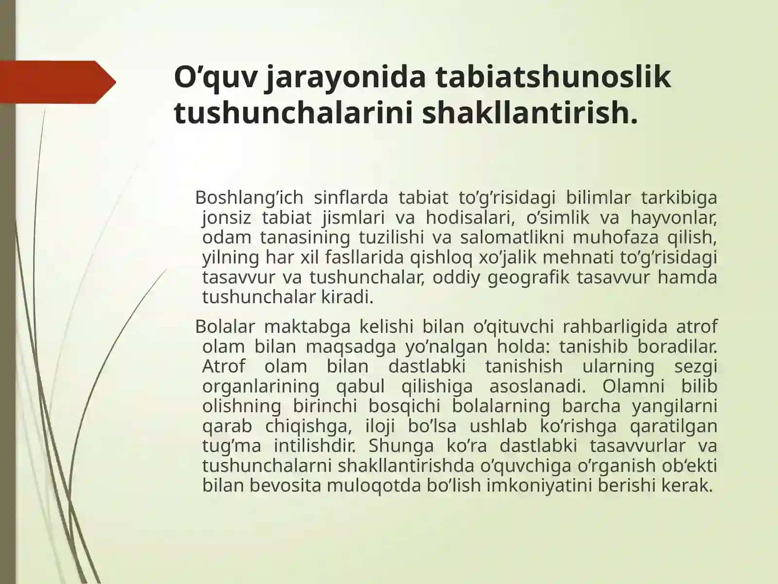 BOSHLANG`ICH SINF O’QUVCHILARIDA.TABIIY FANLARGA DOIR TASAVVUR VA TUSHUNCHALARINI SHAKLLANTIRISHNING METODIK ASOSLARI 2
