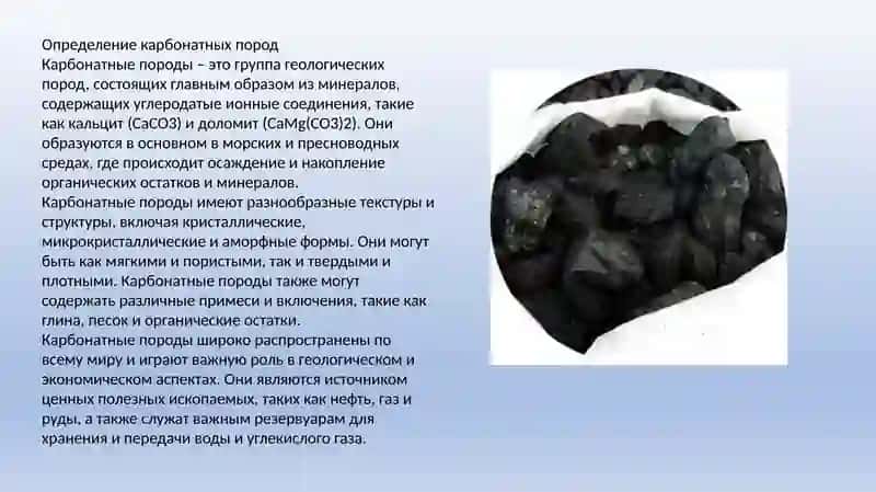 Карбонатные породы и условия их образования 2