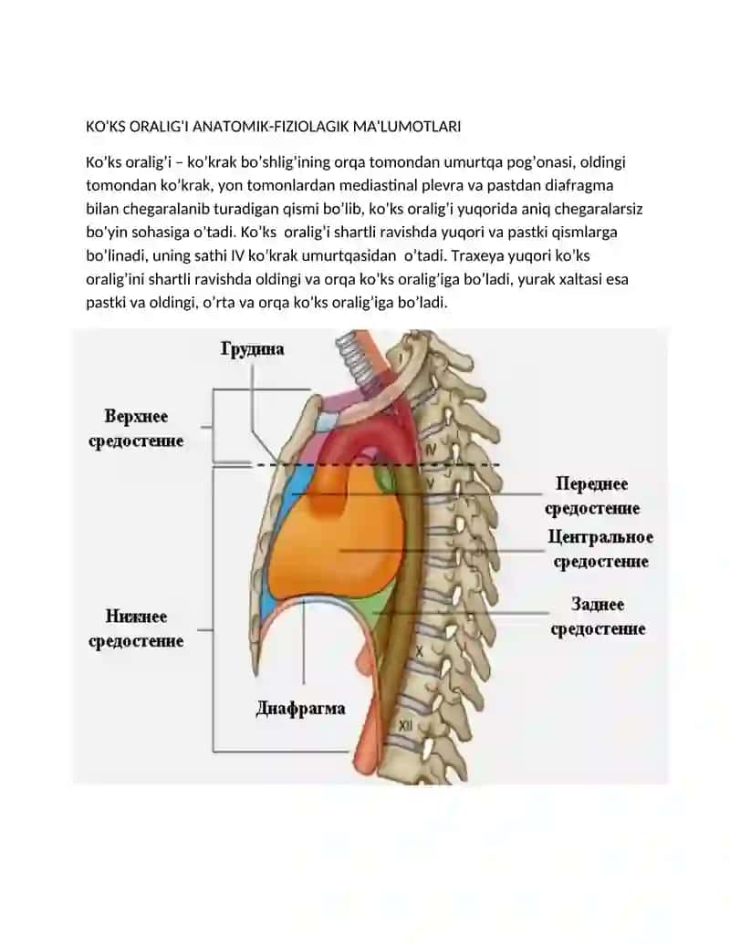 KO’KS ORALIG’I XIRURGIK KASALLIKLARI 2