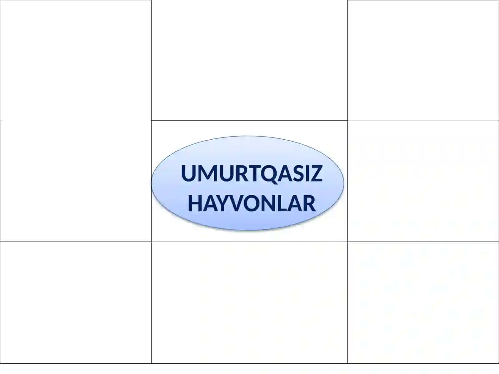 UMURTQALI HAYVONLAR UMURTQASIZ HAYVONLAR 2