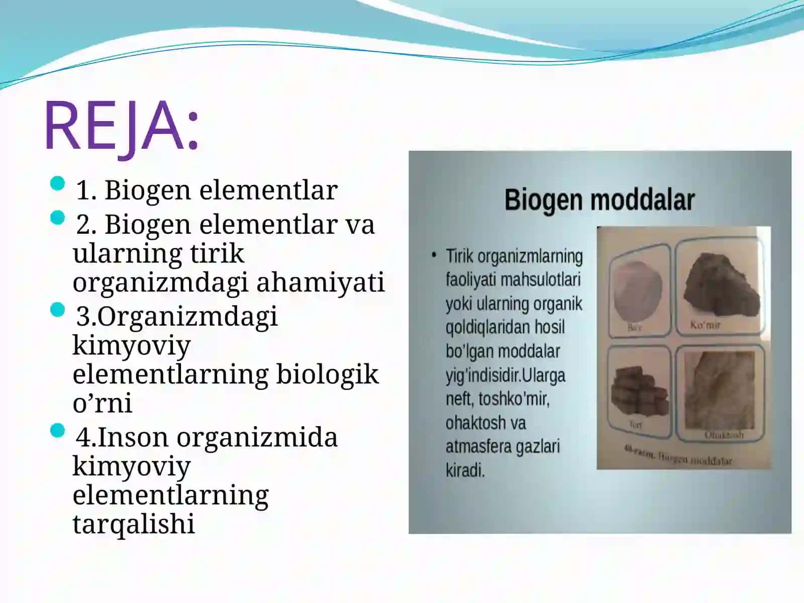 BIOGEN ELEMENTLAR 2
