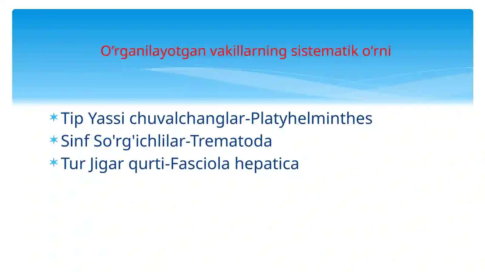 Jigar qurtining tuzilishi 2