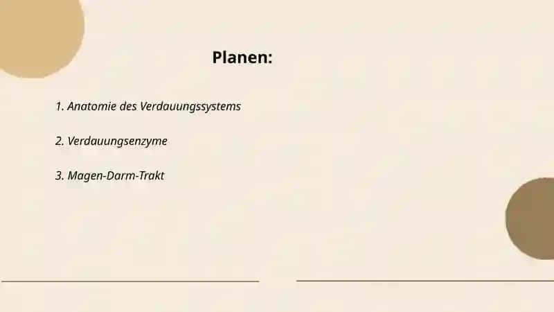 Anatomie des Verdauungssystems 2