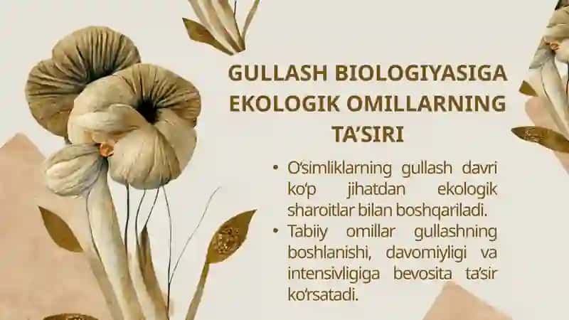 GULLASH BIOLOGIYASIGA EKOLOGIK OMILLARNING TA’SIRI. 2