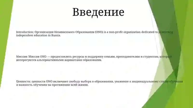 Организация Независимого Образования 2