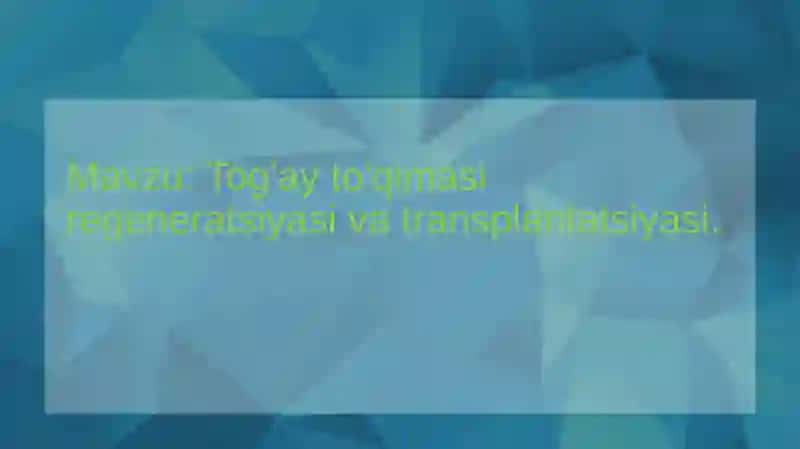 Tog'ay to'qimasi regeneratsiyasi va transplantatsiyasi. 2