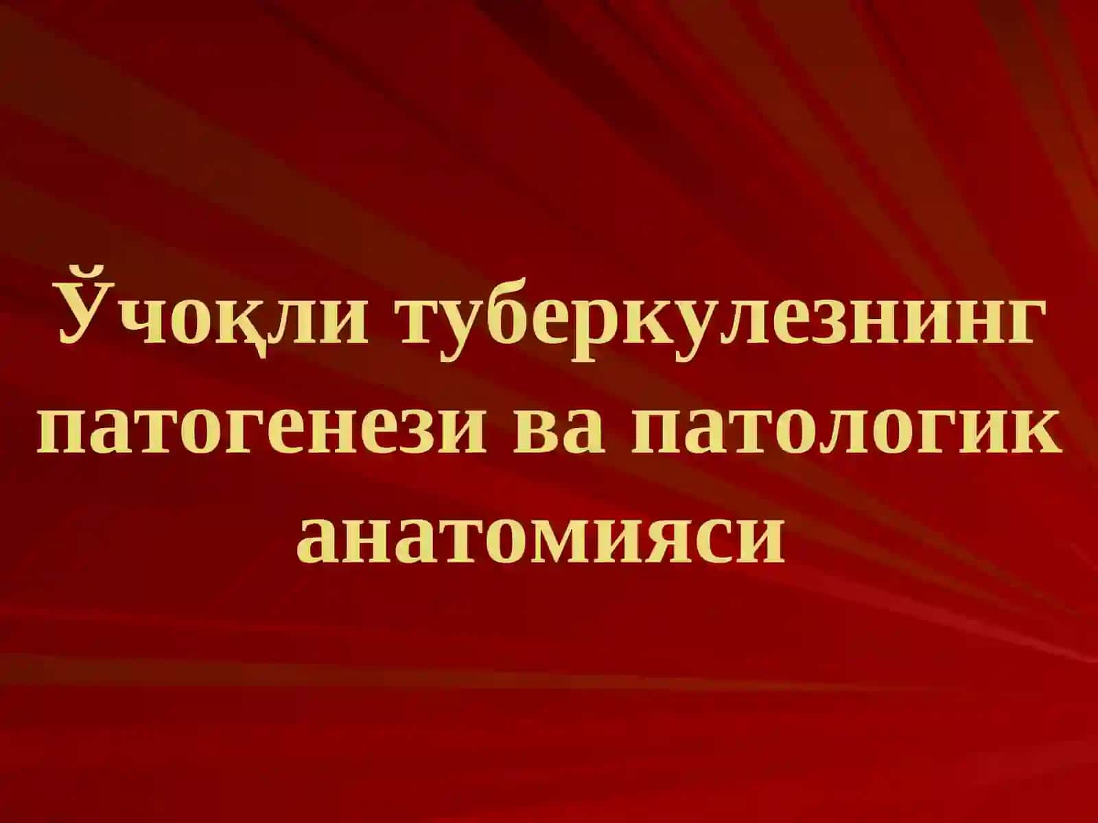 Ўпканинг ўчоқли, яллиғланган туберкулези ва ўпка туберкулемаси 2