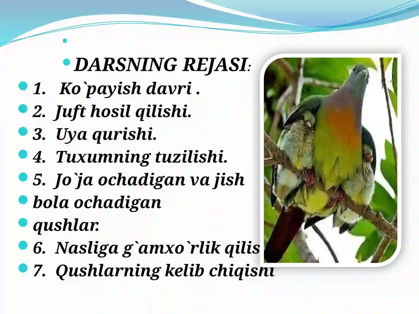 Qushlarning ko`payishi, rivojlanishi va kelibchiqishi 2