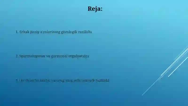 Erkaklar jinsiys sistemasining gistologiyasi 2
