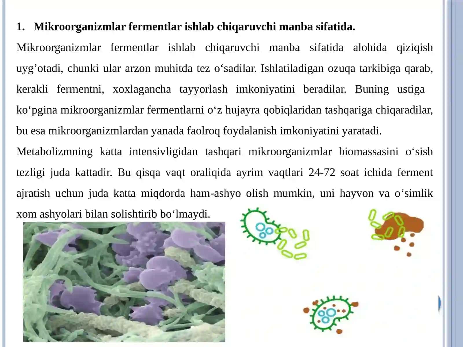 MIKROORGANIZMLARDAN FERMENT OLISHNING ZAMONAVIY USULLARI 2