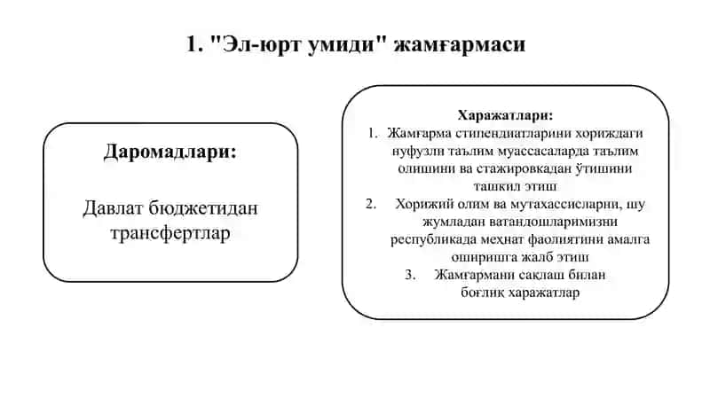 DAVLAT MAQSADLI JAMG’ARMALARI 2