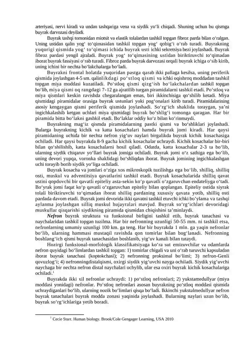AYIRISH TIZIMI 2