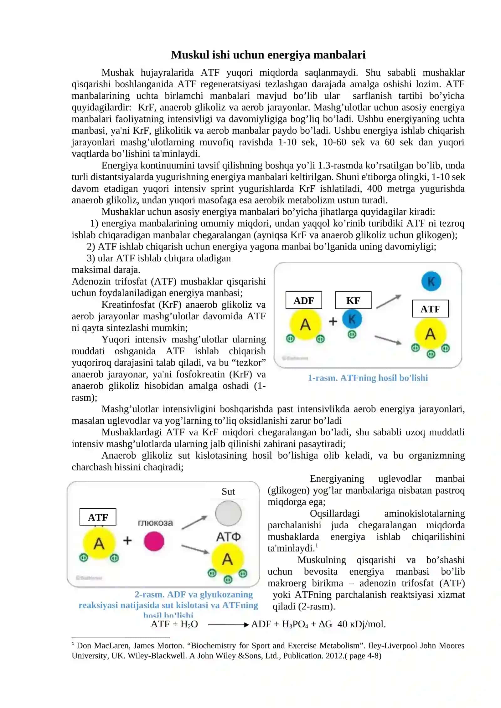 Muskul ish faoliyatidagi bioenergetik jarayonlar 2