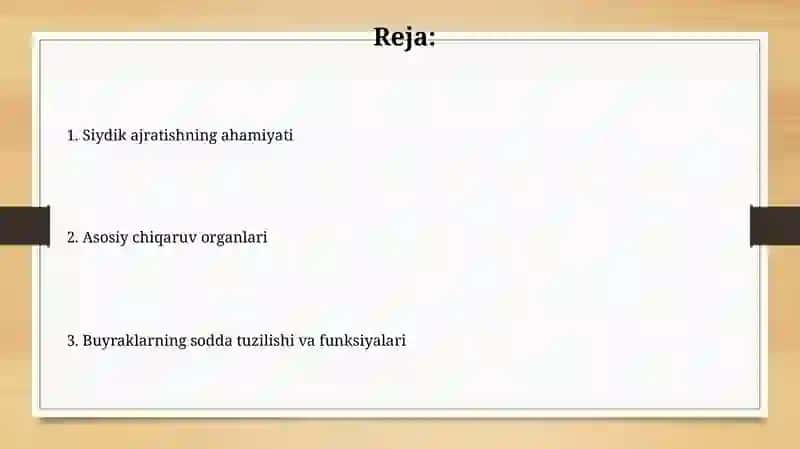 Ayirish organlari va ularning faoliyati 2