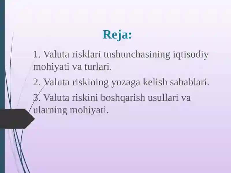 Valuta risklari 2