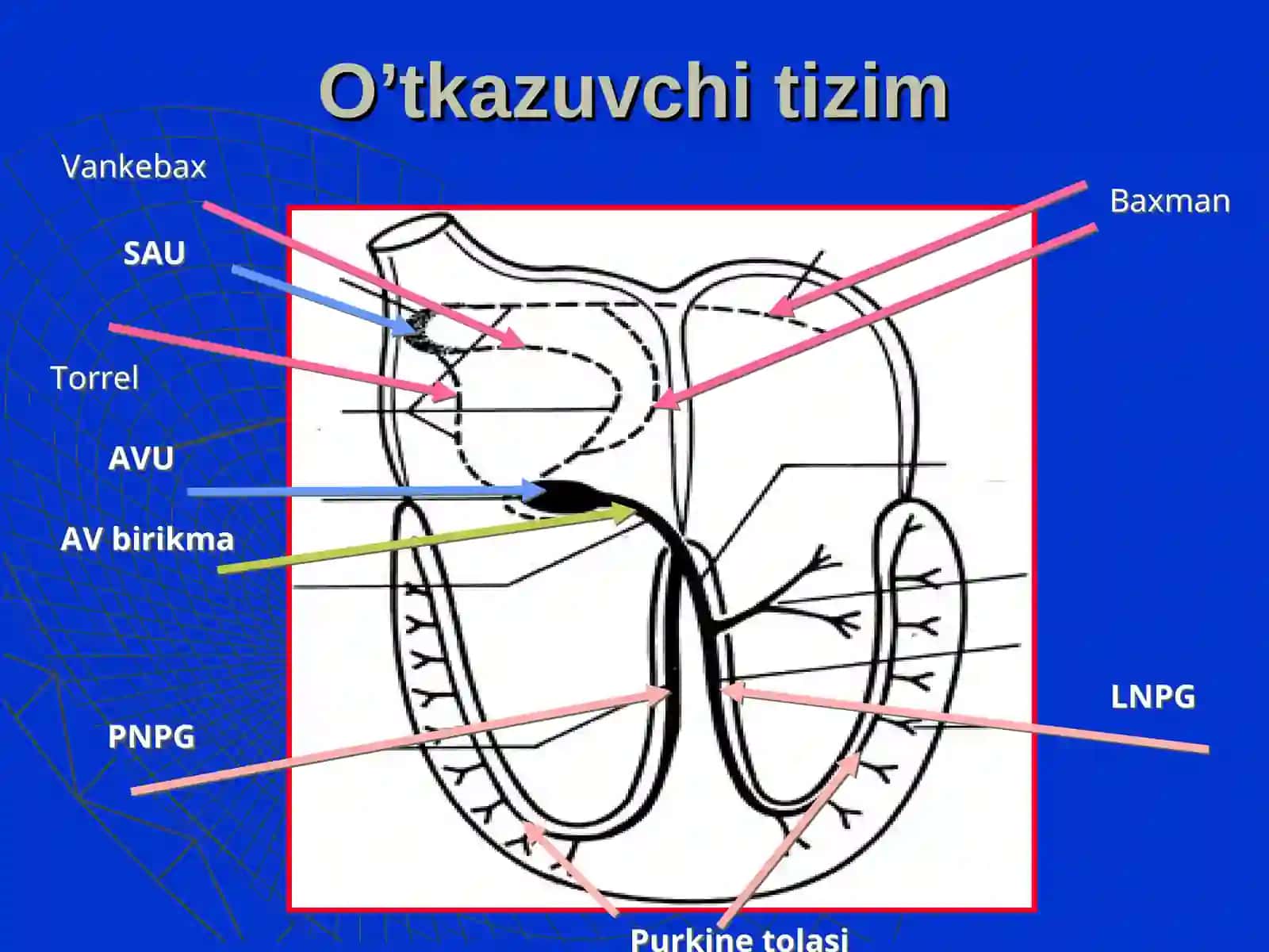 Bolalardaaritmiya 2