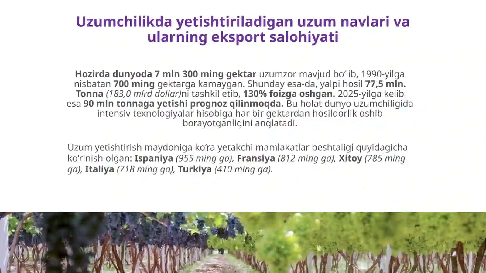 Tokning vegetativ o‘sishi va tok qalamchalarini saqlash 2