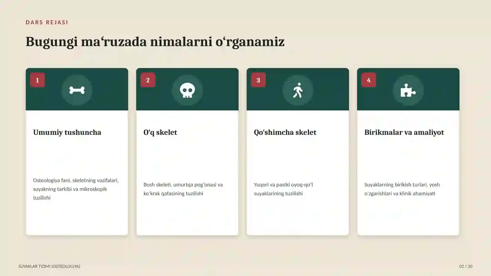 Tibbiyot Texnikumi - Suyaklar tizimi (Osteologiya) 2