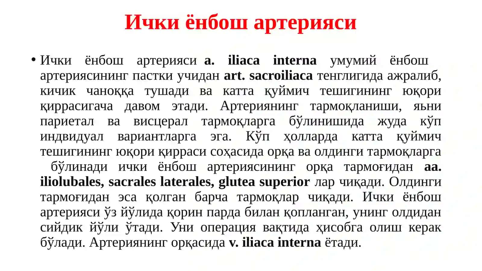 Ички ва ташқи ёнбош артериялари. Сон артерияси. Болдир артериялари. Оёқ панжа артериялари 2