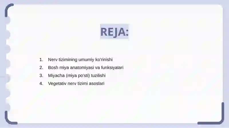 Nerv tizimi . Bosh miya , miyacha , vegitativ nerv tizimi gistalogiyasi 2