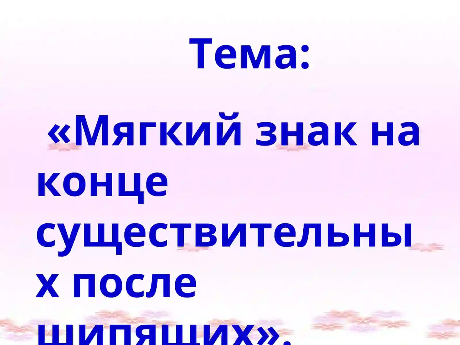 Мягкий знак на конце существительных после шипящих 2