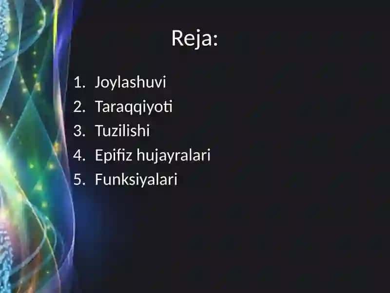 Epifizning ultrastruktura viy tashkili shivafunksiyalari 2