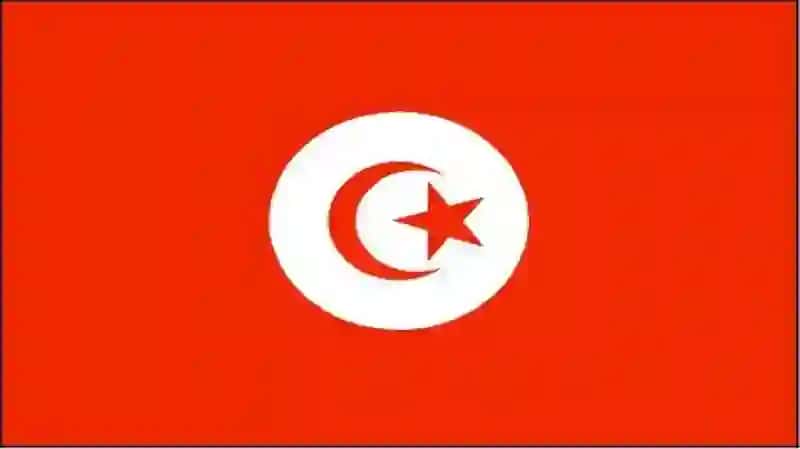 Tunis Mamlakati Bojxonasiyosi Tahlili 2