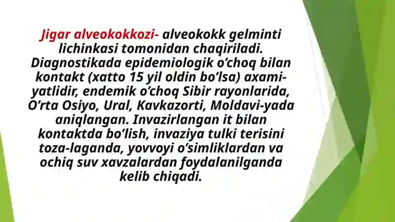 JIGAR ALVEOKOKKOZI va JIGAR EXINOKOKKOZI 2