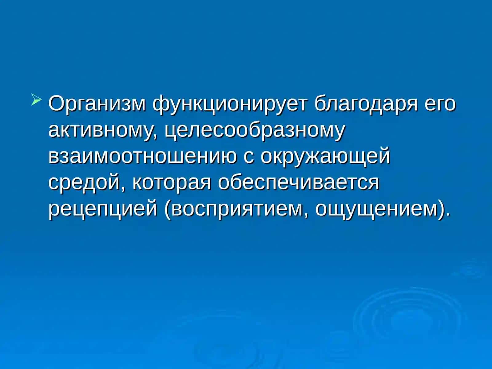 Физиология анализаторов 2