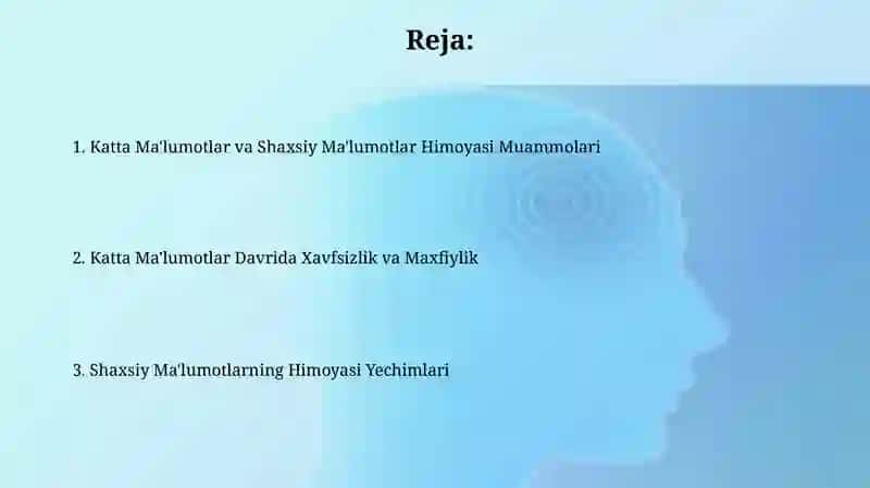 Katta Ma'lumotlar va Shaxsiy Ma'lumotlar Himoyasi Muammolari 2