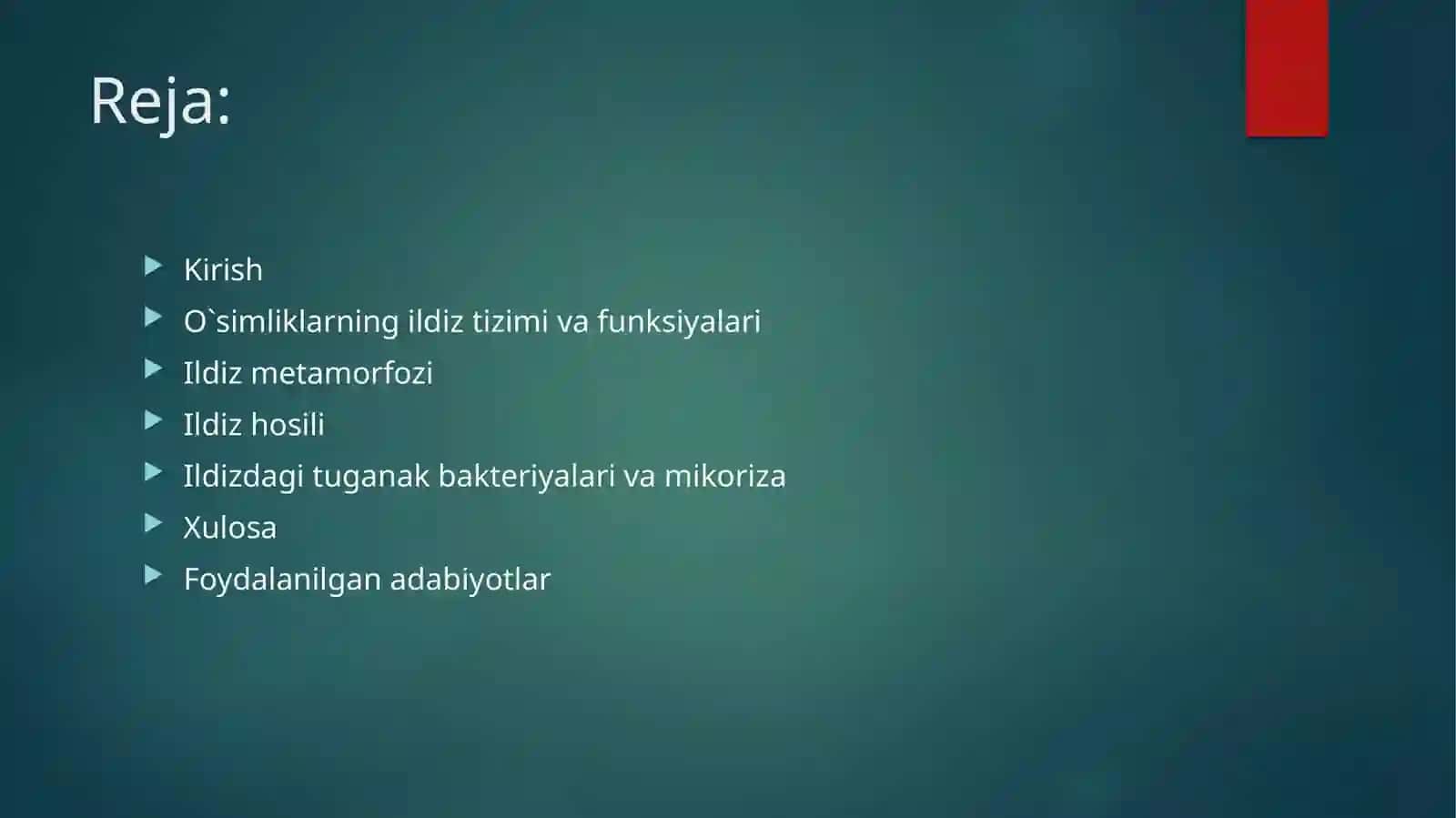 O`simliklarning ildiz tizimi: tiplari,tuzilishi va funksiyalari 2