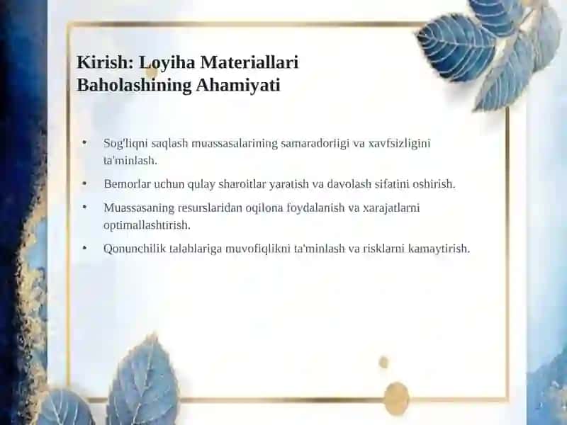 Davolash-Profilaktika Muassasalarini Loyiha Materiallari Bo'yicha Baholash 2