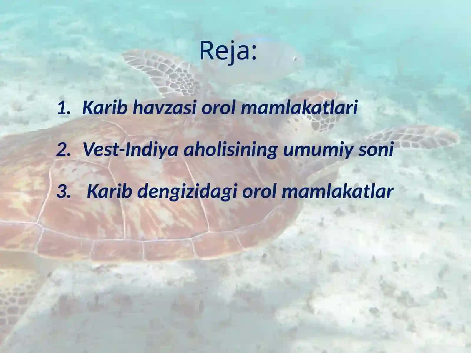 Karib havzasi orol mamlakatlari 2
