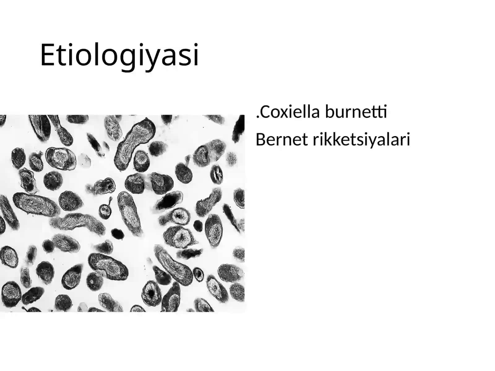 Ku-isitmasi 2