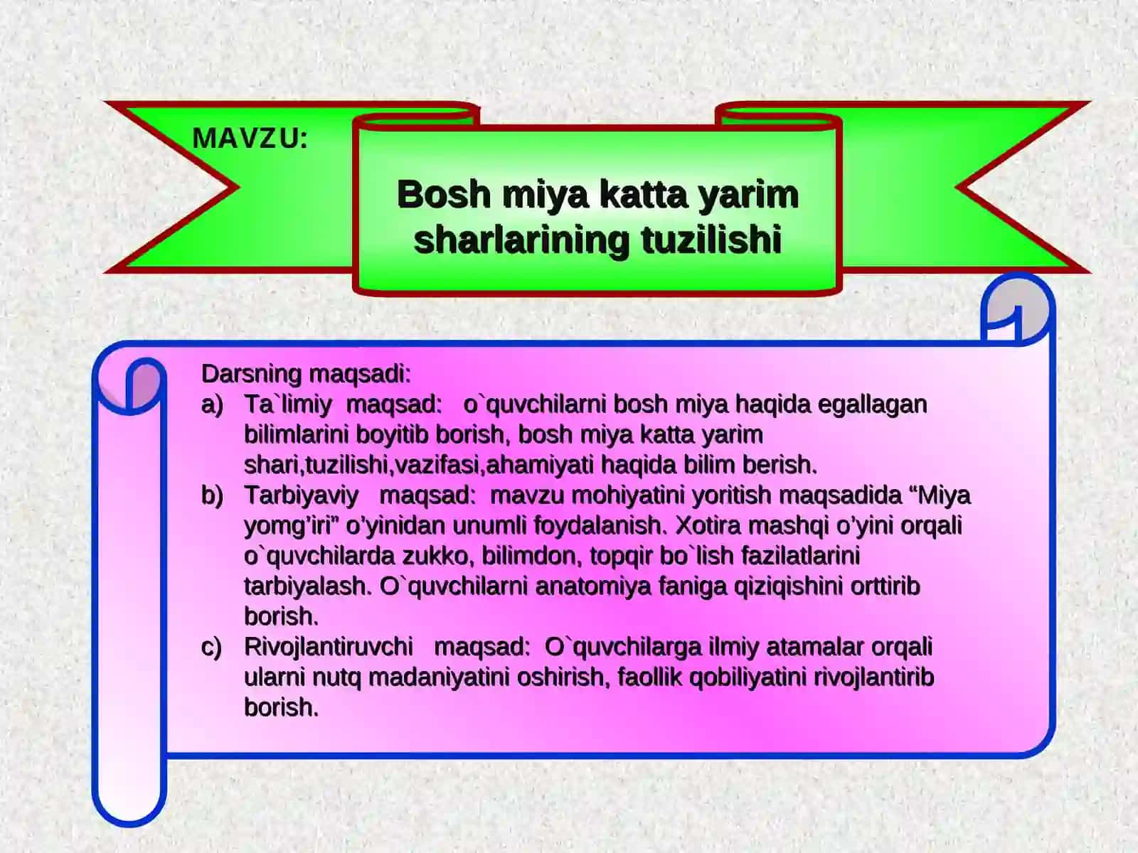 Bosh miya katta yarim sharlarining tuzilishi 2