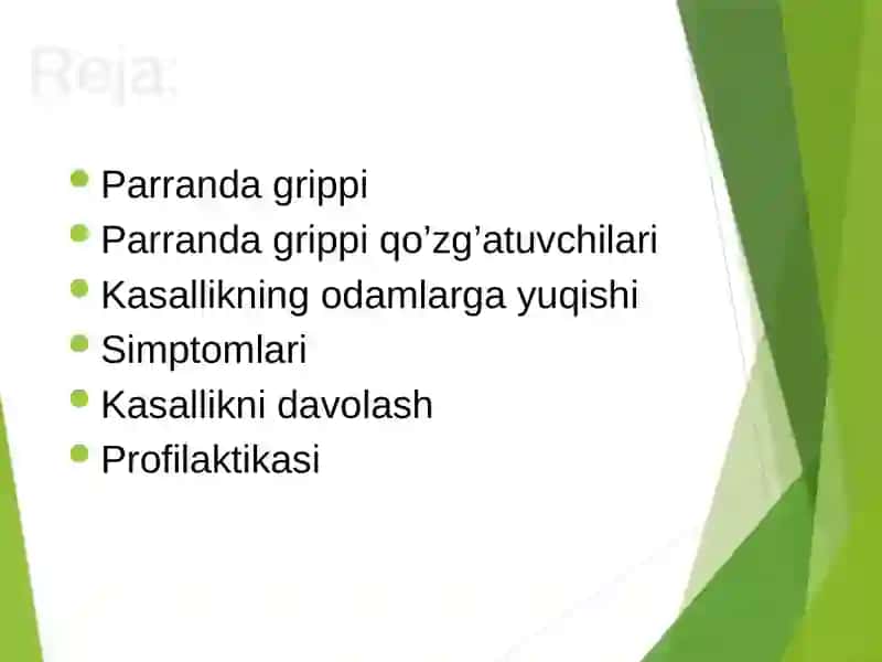 Parranda grippi 2