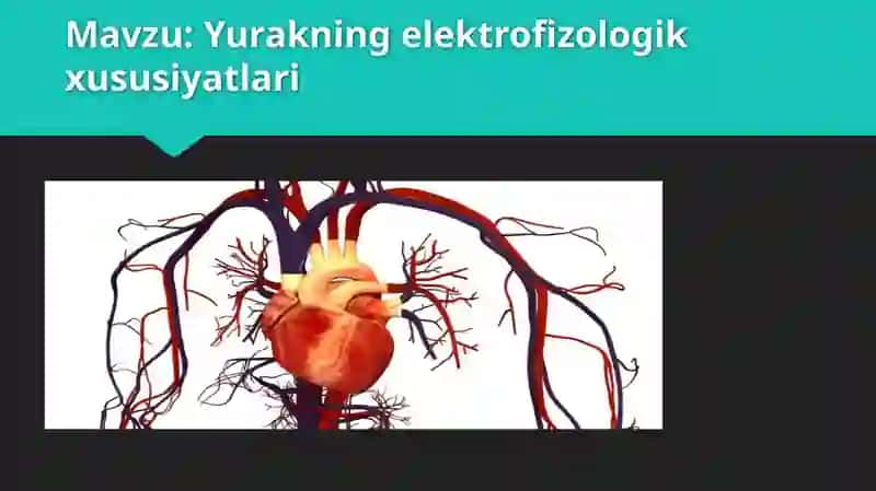 Yurak elektrofizologik xususiyatlari 2