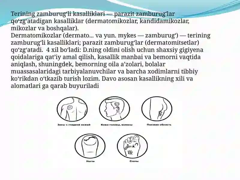 Terining zamburug‘li kasalliklari 2