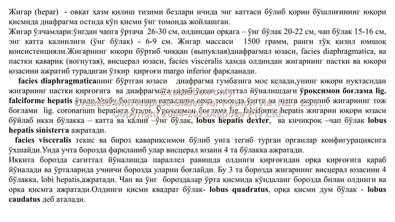 Жигар раки – С22: Этиопатогенез, диагностика ва даволаш усуллари 2