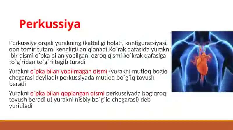 Yurak perkussiyasi 2
